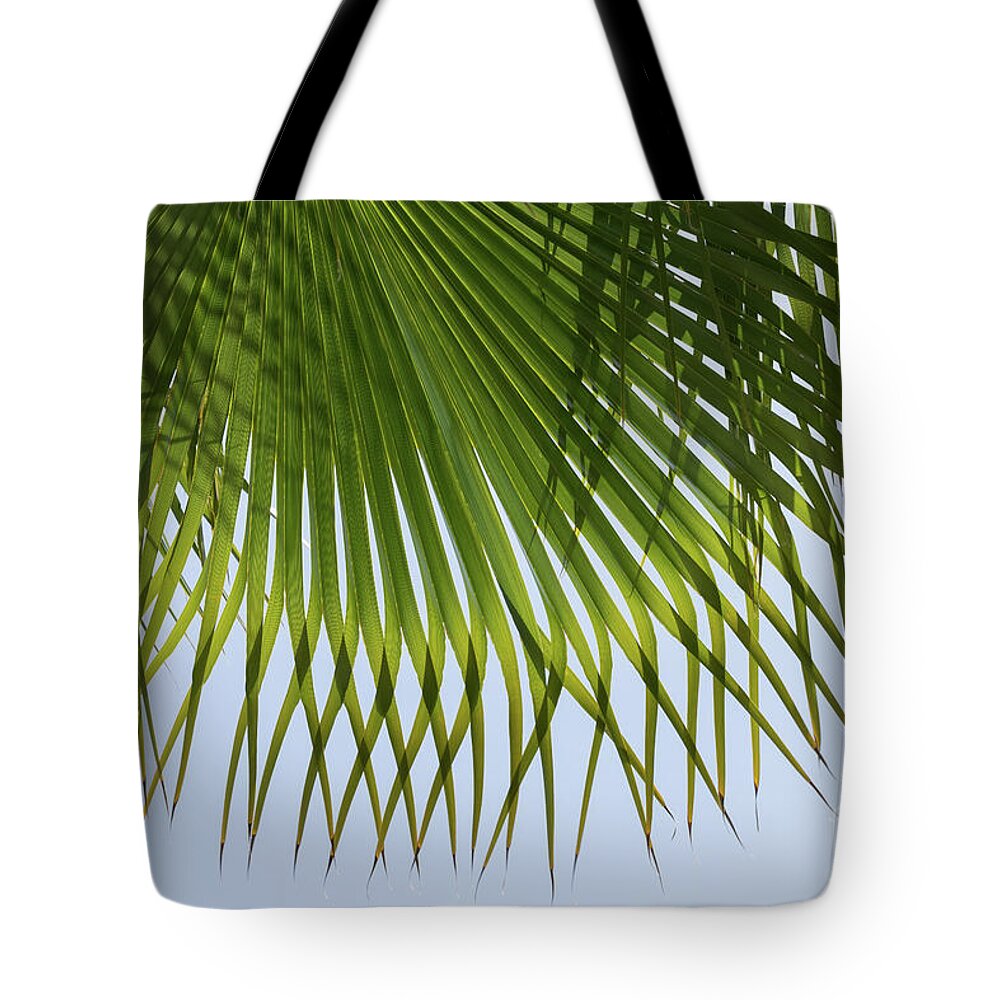 Palm Leaf Tote Bag featuring the photograph Green palm leaf and blue sky on the beach by Adriana Mueller