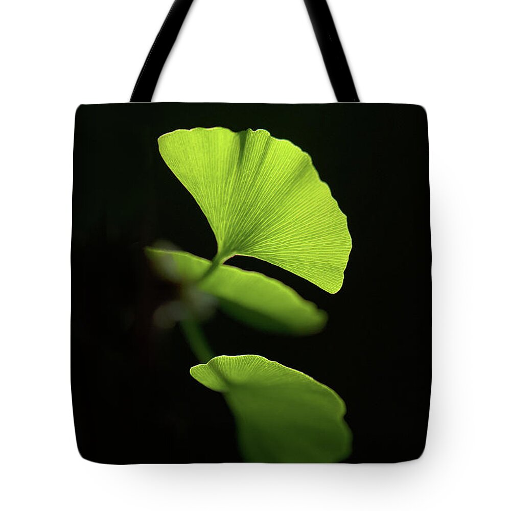 Leaves Tote Bag featuring the photograph Green Sagacity by Philippe Sainte-Laudy