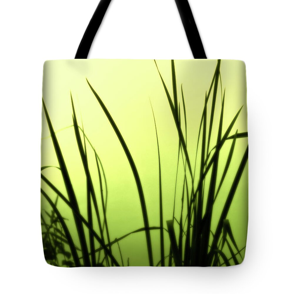 Reeds Tote Bag featuring the photograph Green Soft Edges of morning by Cynthia Dickinson
