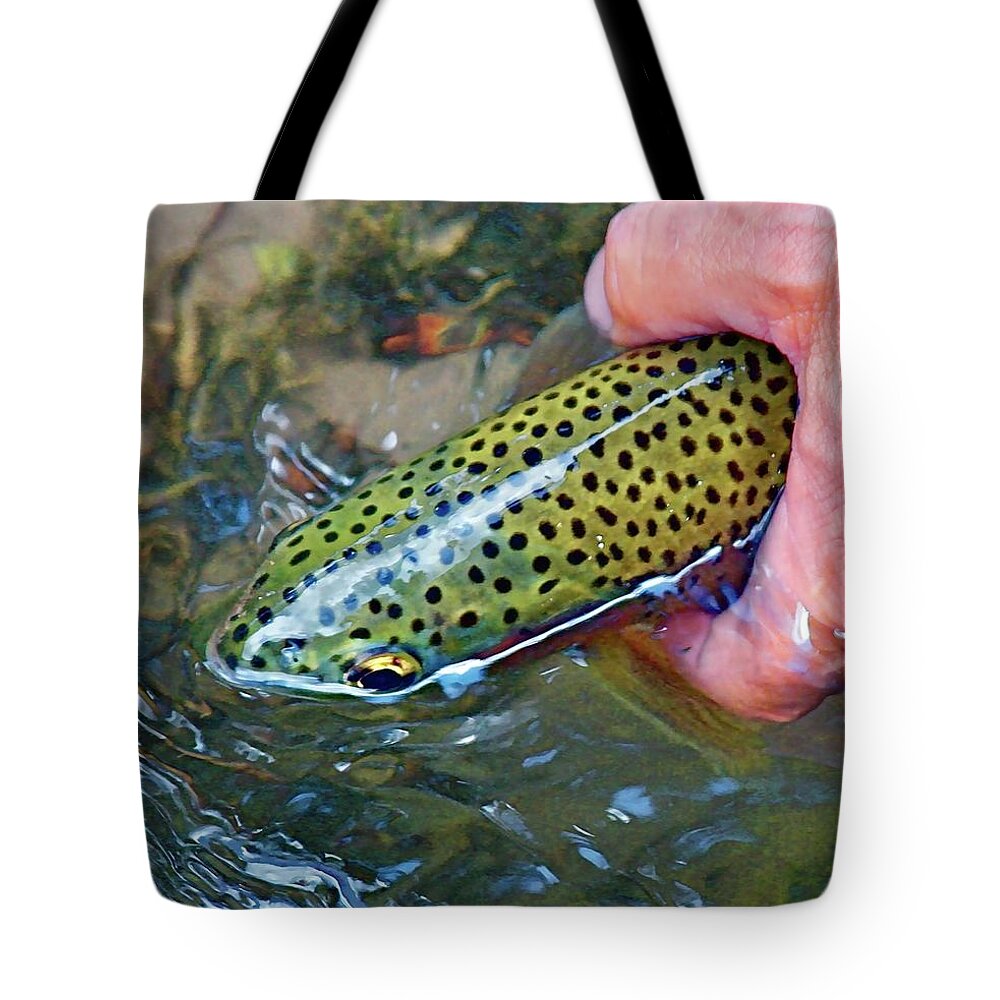 Trout Tote Bag featuring the photograph Green Speckled Trout by Dorsey Northrup