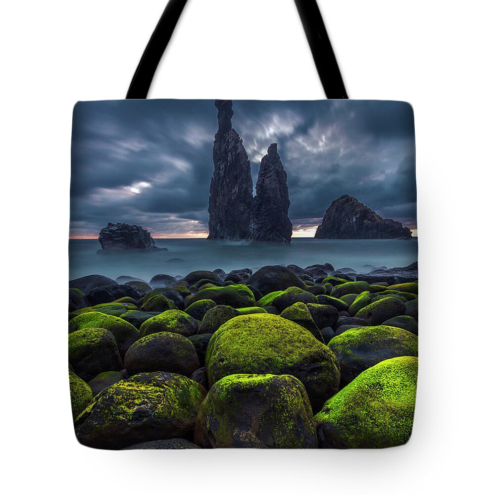 Abstract Tote Bag featuring the photograph Green Stones by Evgeni Dinev