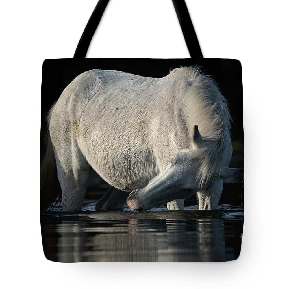 Salt River Wild Horse Tote Bag featuring the photograph Grey Beauty by Shannon Hastings