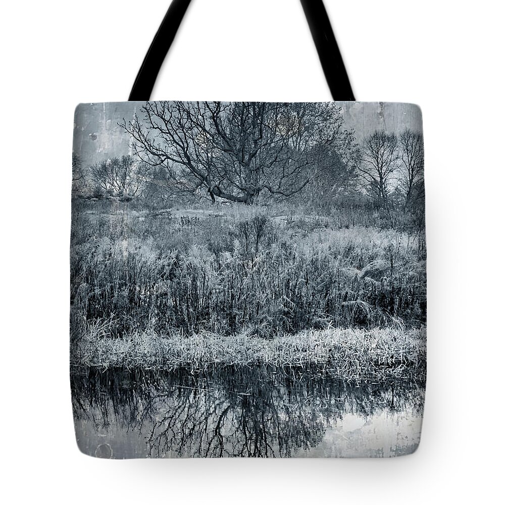 New York Botanical Gardens Tote Bag featuring the photograph Grey Dreamscape by Cate Franklyn