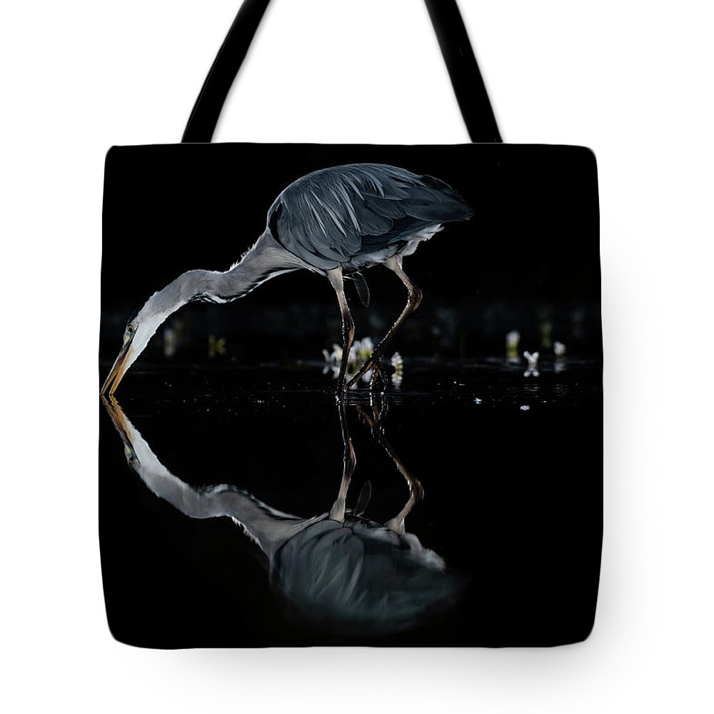 Grey Heron Tote Bag featuring the photograph Grey Heron Fishing by Mark Hunter