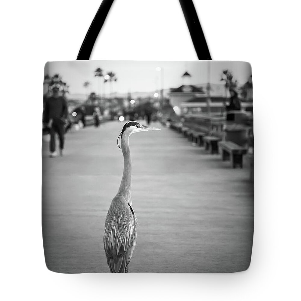 2010 Tote Bag featuring the photograph Grey Heron Newport Pier Black and White Photo by Paul Velgos