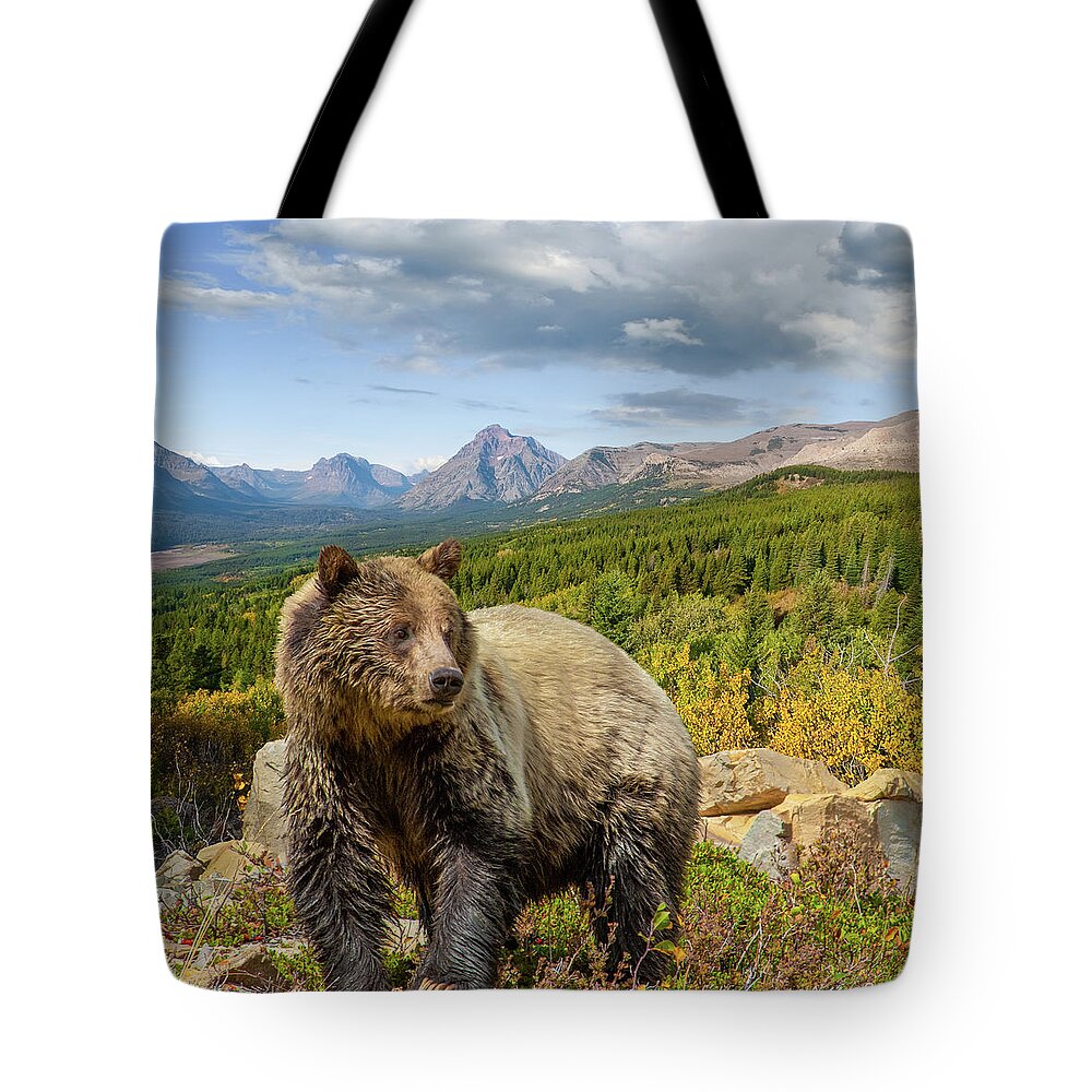 Adult Tote Bag featuring the photograph Grizzly Bear in Glacier National Park by Jeff Goulden