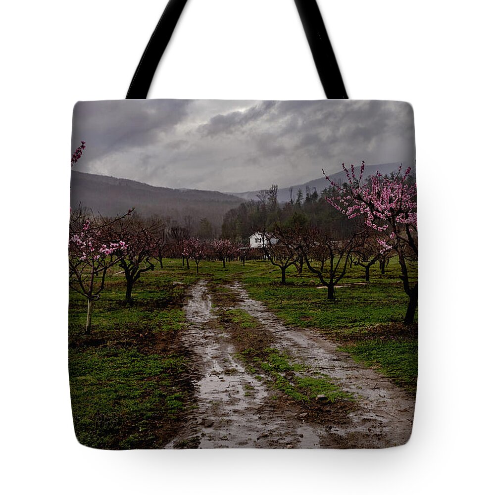 Gross Orchard Tote Bag featuring the photograph Gross Orchard Springtime by Norma Brandsberg