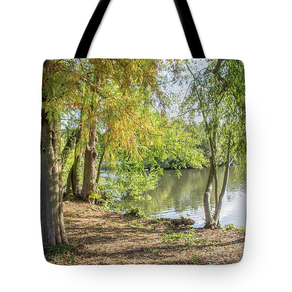 Grovelands Park Tote Bag featuring the photograph Grovelands Park Trees Fall by Edmund Peston