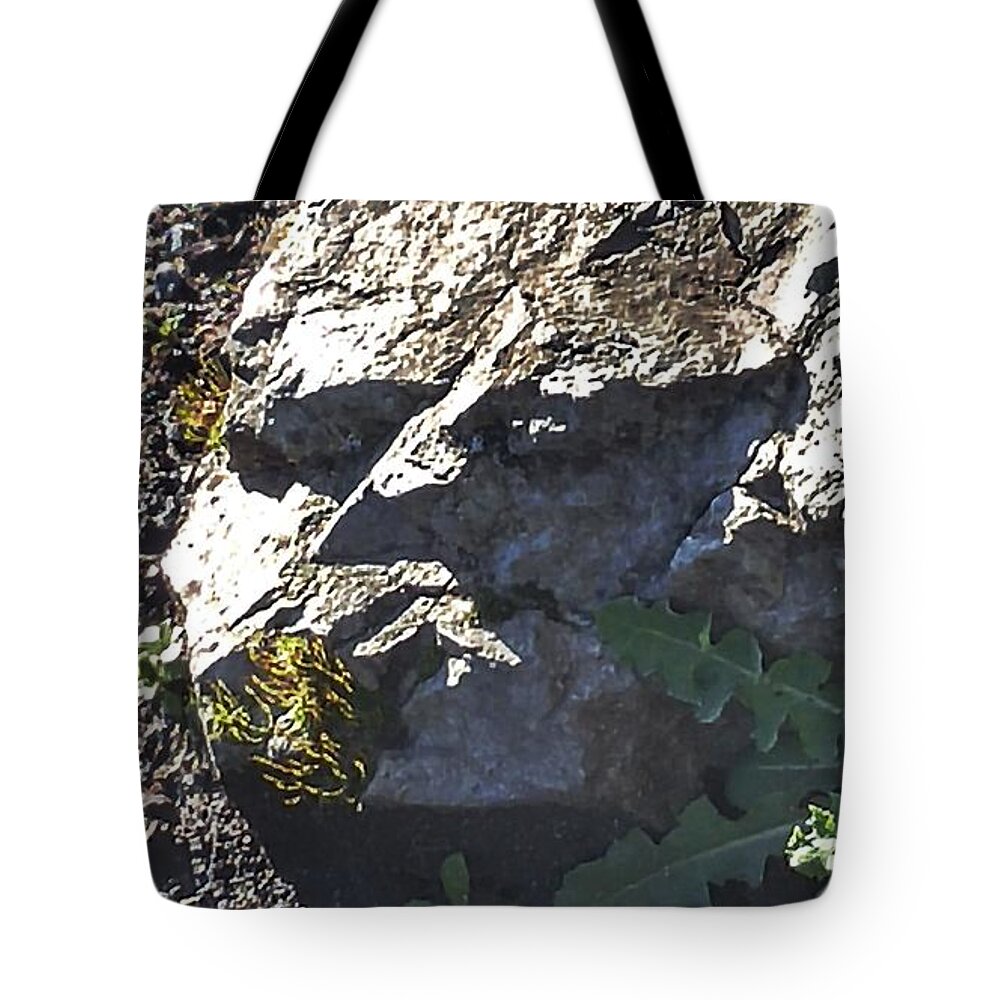 Stones Tote Bag featuring the photograph Grumpy Rock by Kimberly Furey