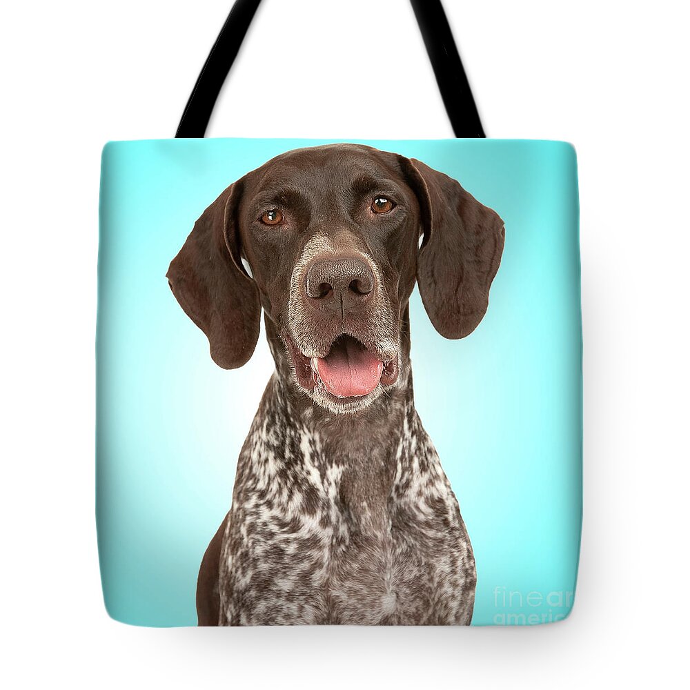 Dog Dogs Doggie Art German Shorthaired Pointer Gsp Fine Art Photography  Tote Bag featuring the photograph GSP Joy by Renee Spade Photography