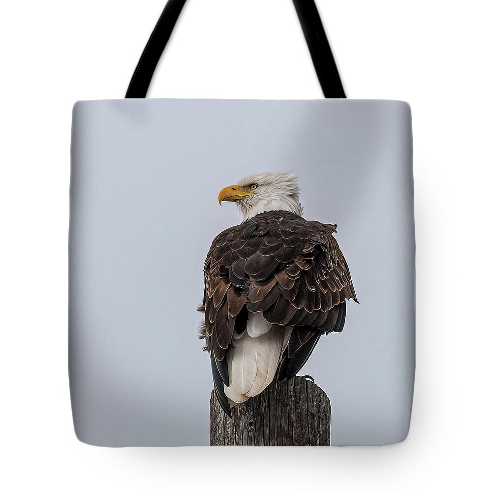 Bald Eagle Tote Bag featuring the photograph Guarding The Nest by Yeates Photography