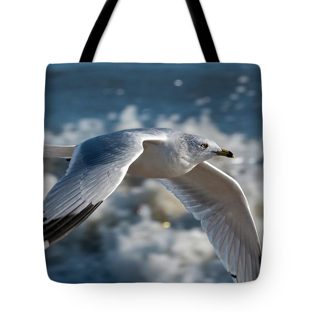 Action Tote Bag featuring the photograph Gull at the Beach by Liza Eckardt