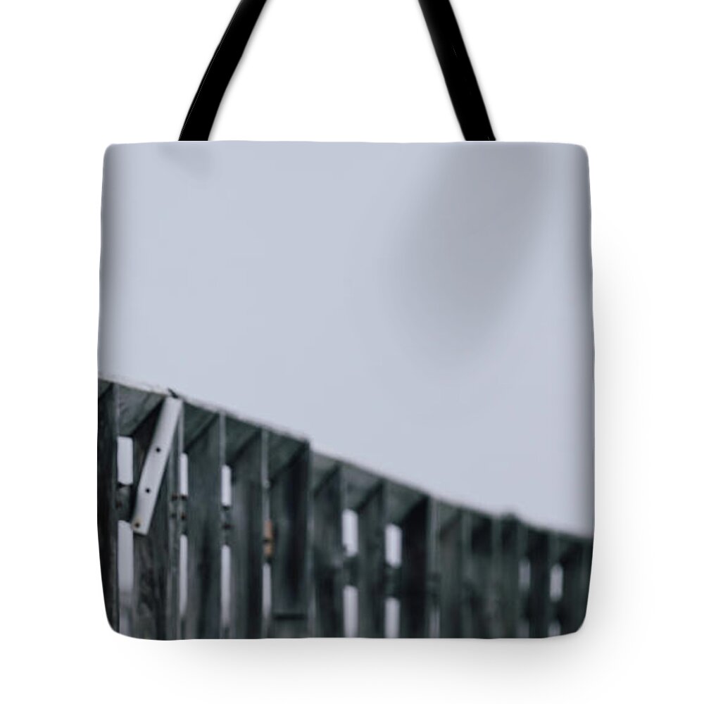 Ring-billed Gull Tote Bag featuring the photograph Gull at the Fishing Pier by Rachel Morrison