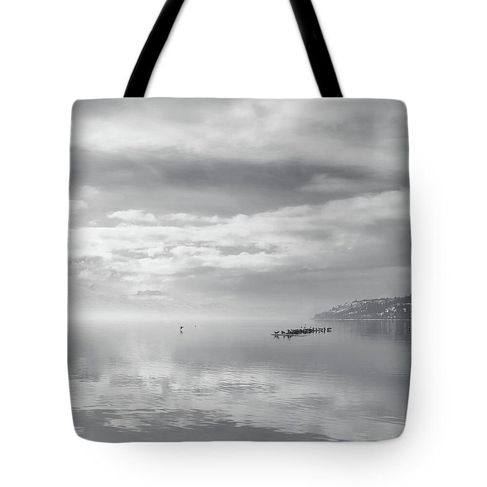Black And White Photography Tote Bag featuring the photograph Gulls and Reflection Black and White by Allan Van Gasbeck