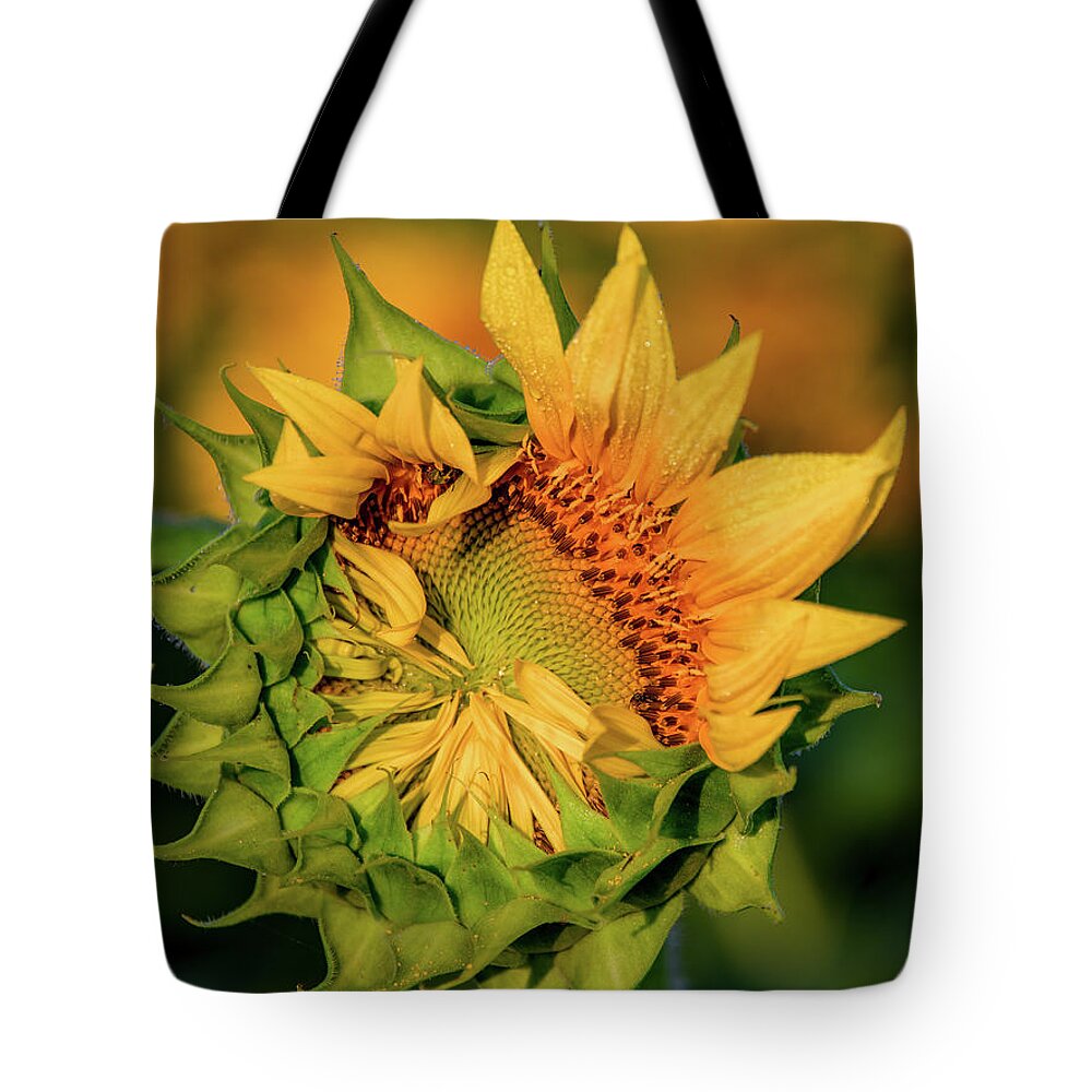 Tennessee Tote Bag featuring the photograph Half Way There, The Birth of a Sunflower by Marcy Wielfaert