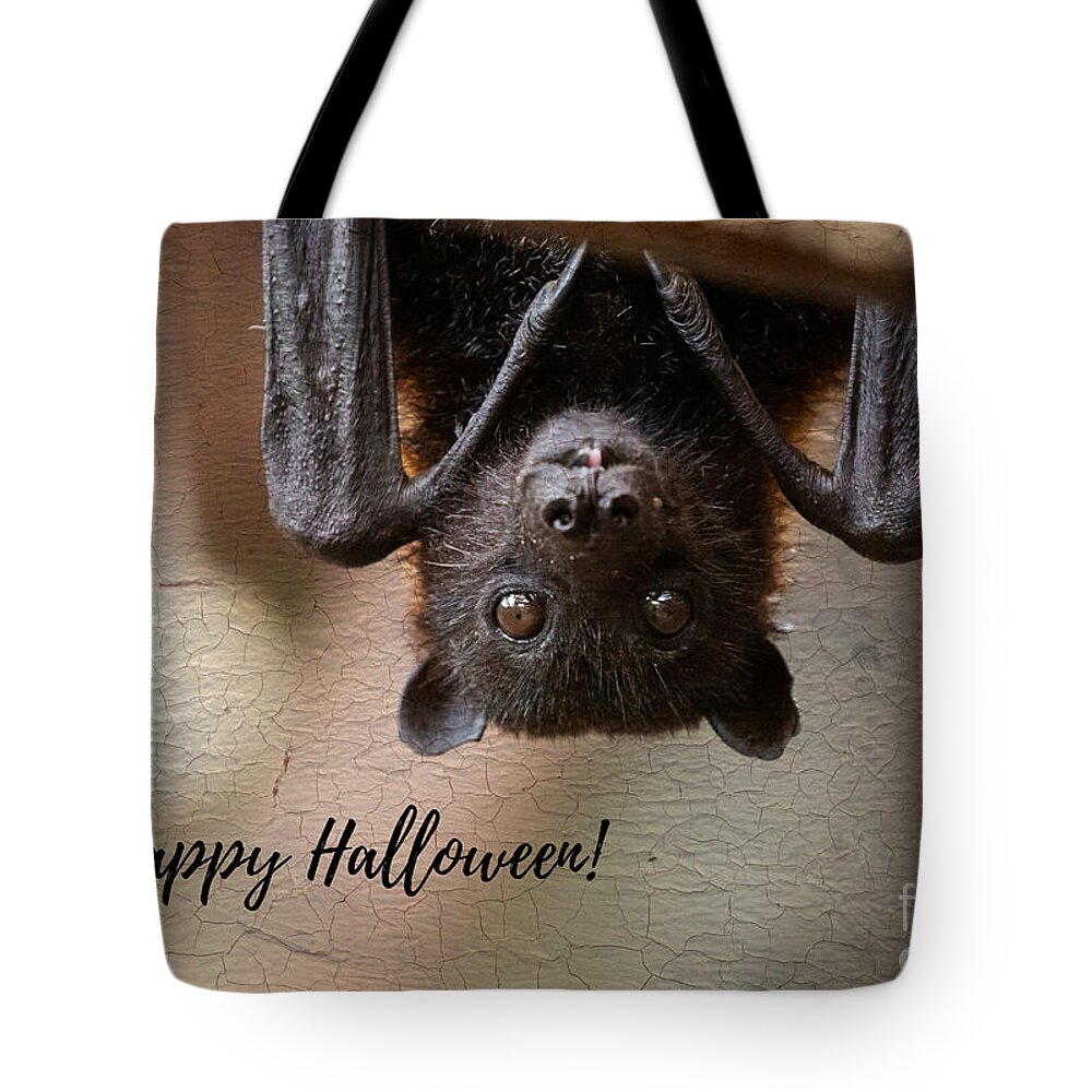 Megabat Tote Bag featuring the photograph Halloween Greetings by Eva Lechner