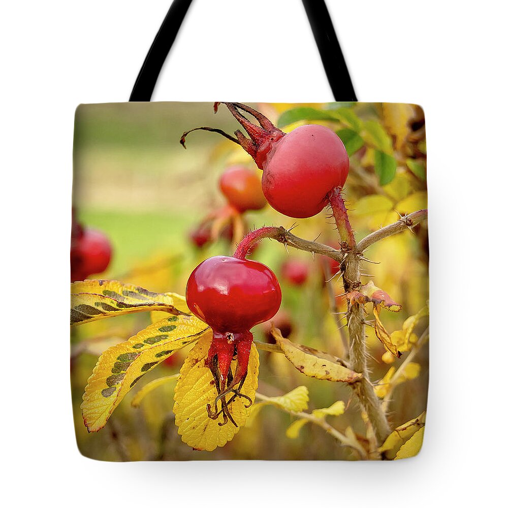 Halloween Tote Bag featuring the photograph Halloween with a Rosehip. by Elena Perelman