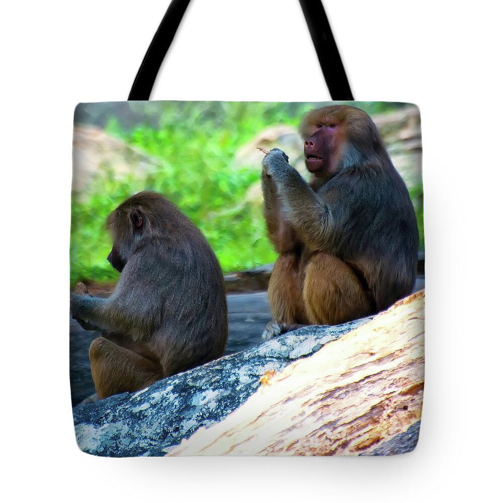 Hamadryas Baboon Tote Bag featuring the photograph Hamadryas Baboon Sitting On Rocks by Flees Photos