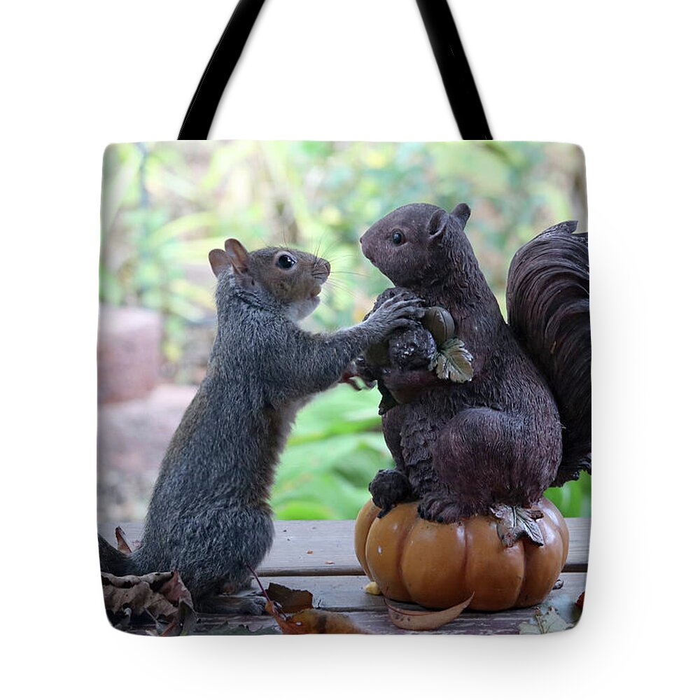 Squirrels Tote Bag featuring the photograph Hand Over a Nut Please by Trina Ansel
