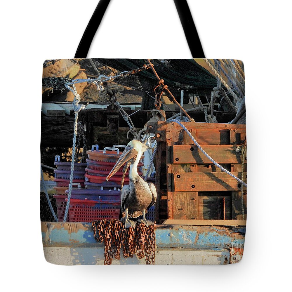 Pelicans Tote Bag featuring the photograph Hangin Out by Scott Cameron