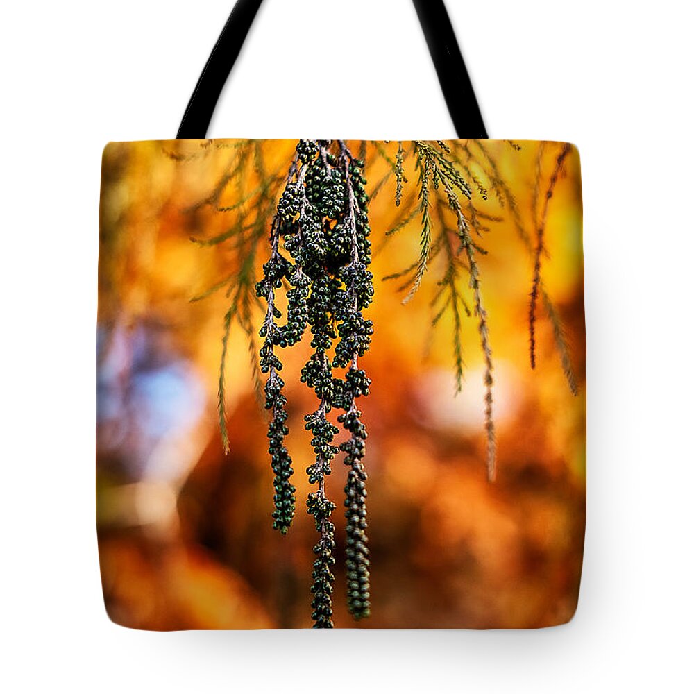 Leaves Tote Bag featuring the photograph Hanging Green Berries in Autumn by Stuart Litoff