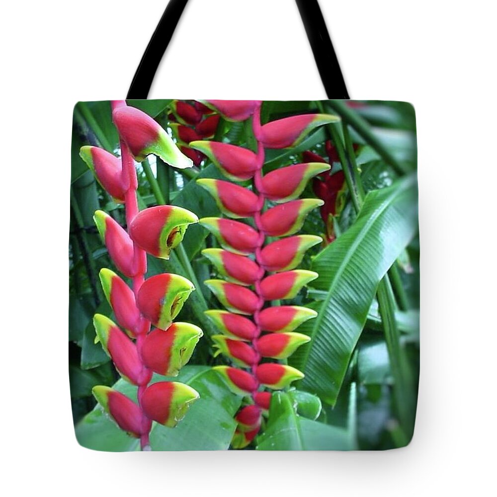 Flowers Tote Bag featuring the photograph Hanging Red Flowers by Pour Your heART Out Artworks
