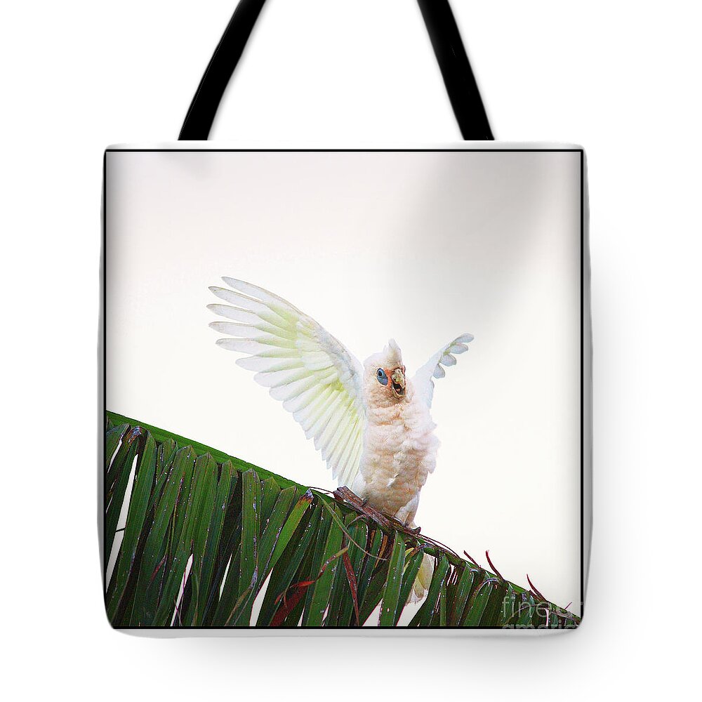 Corella Tote Bag featuring the photograph Happy Corella 1 by Russell Brown