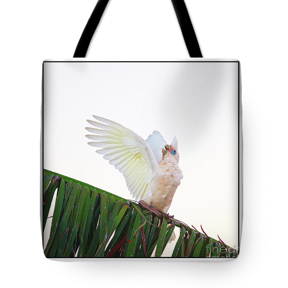 Corella Tote Bag featuring the photograph Happy Corella 2 by Russell Brown