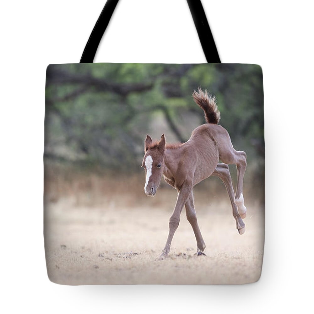 Cute Foal Tote Bag featuring the photograph Happy Dance by Shannon Hastings