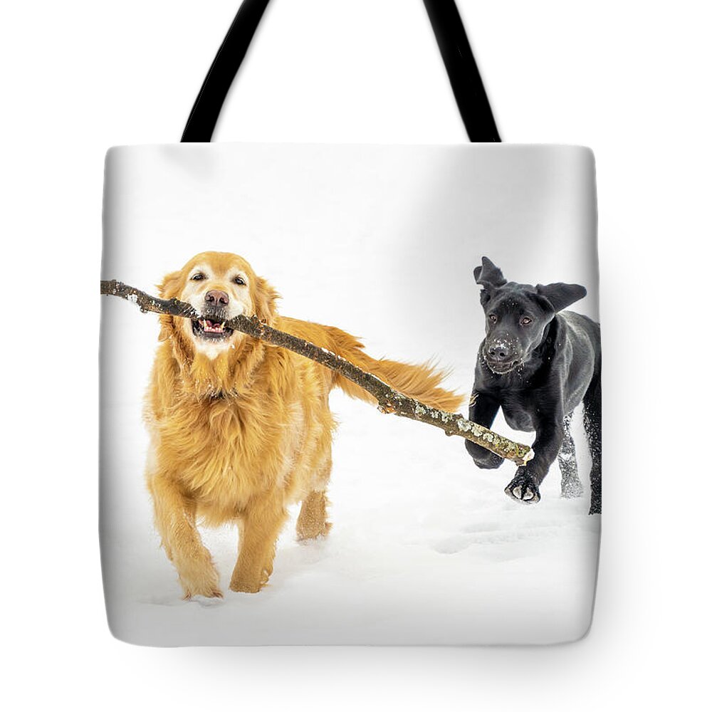 Black Labrador Retriever Tote Bag featuring the photograph Happy Dogs in Winter by Dee Potter