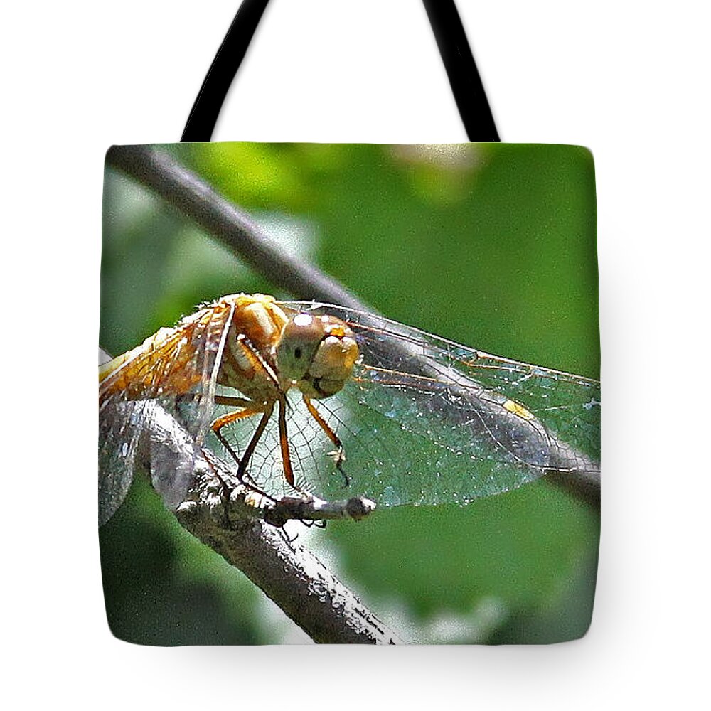 Insect Tote Bag featuring the photograph Happy Dragonfly by Carol Jorgensen