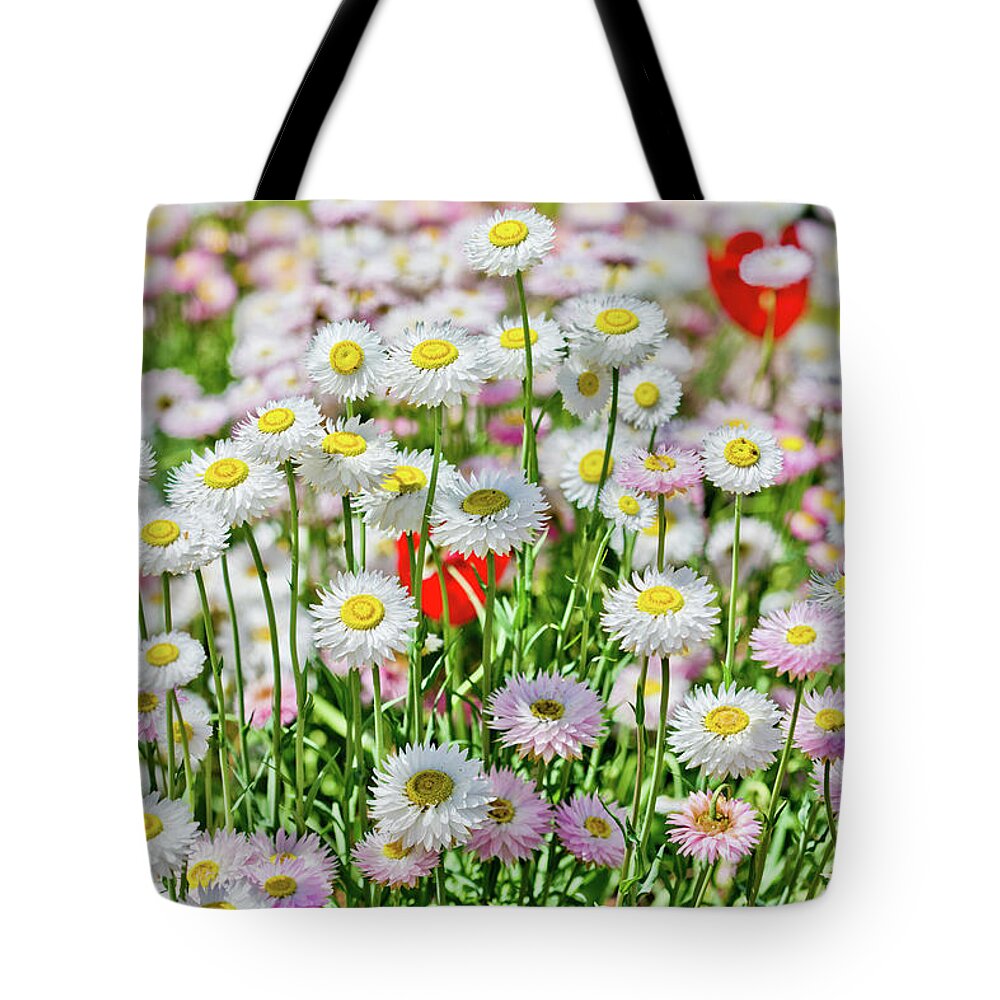 Happy Family Tote Bag featuring the photograph Happy Family by Az Jackson