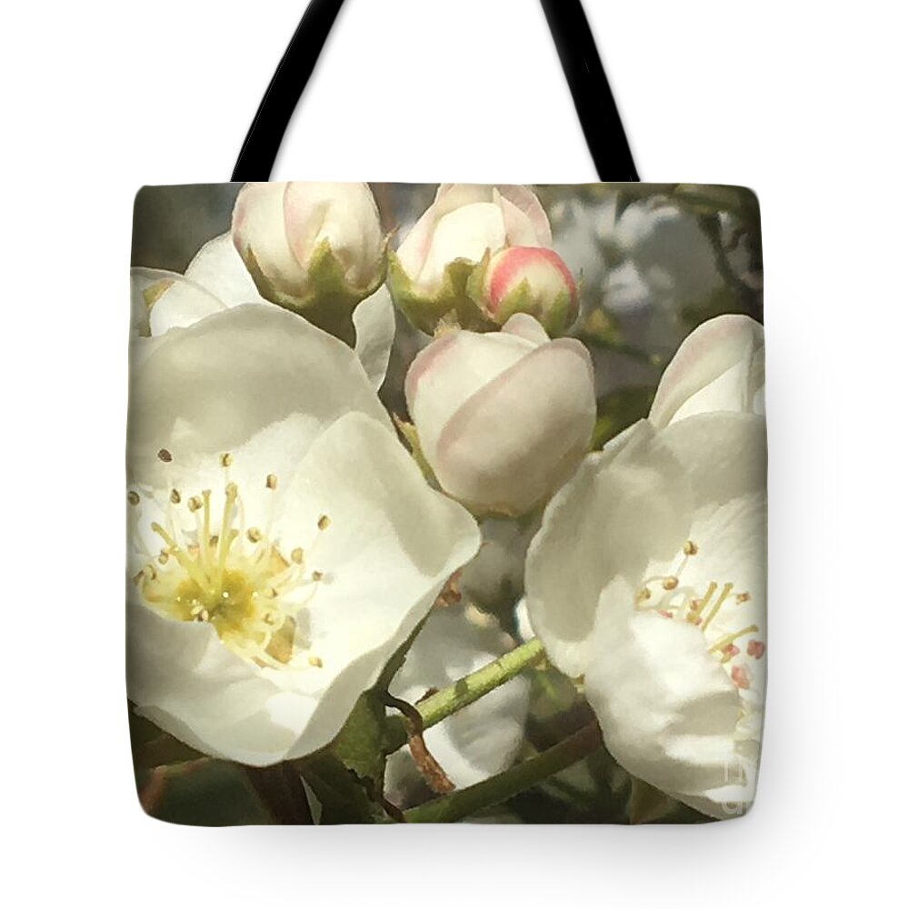 Pear Flowers Tote Bag featuring the photograph Happy Family by Carmen Lam