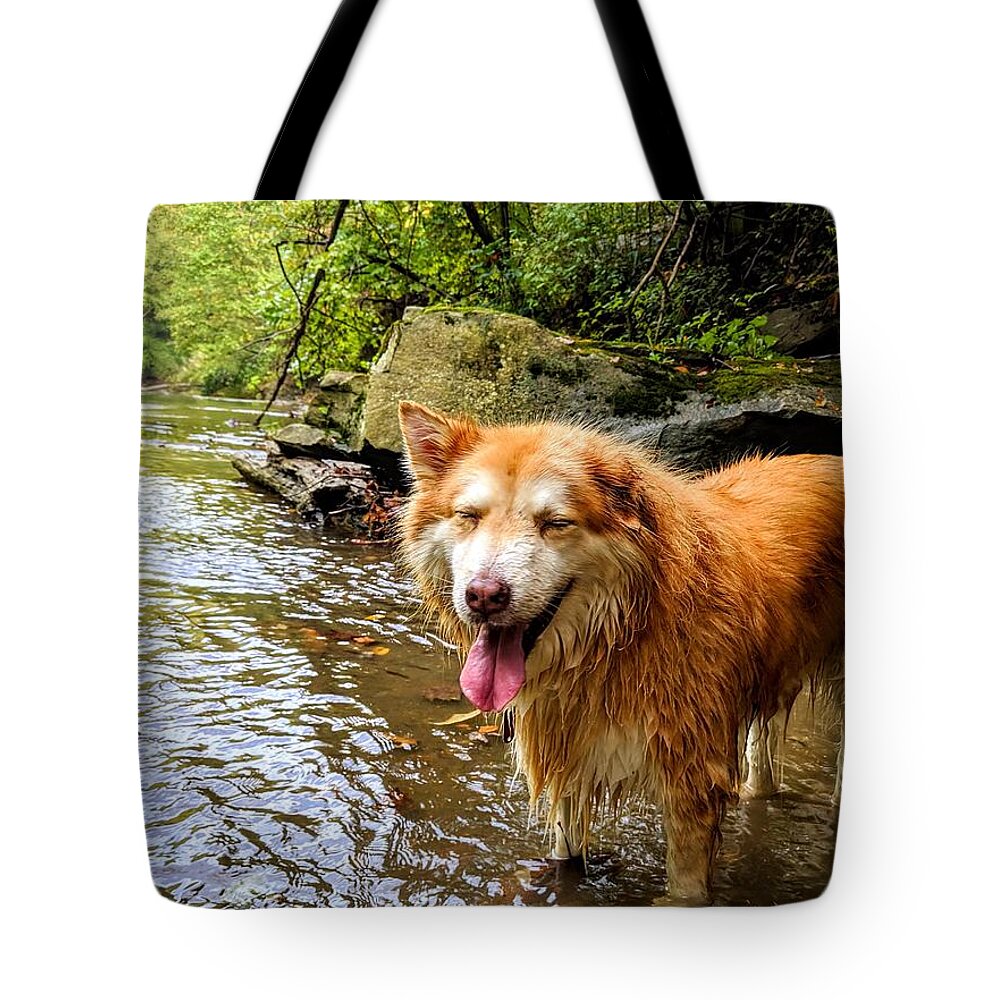  Tote Bag featuring the photograph Happy Pup by Brad Nellis