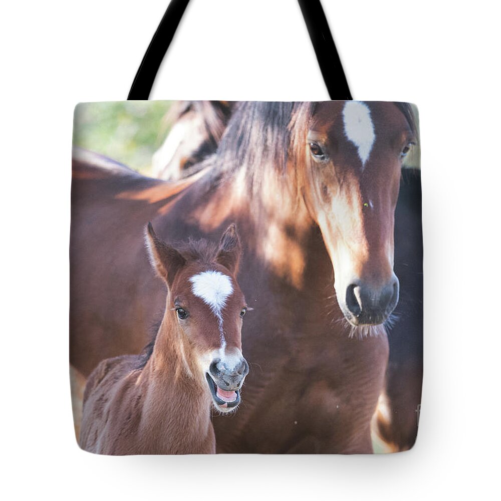 Foal Tote Bag featuring the photograph Happy by Shannon Hastings