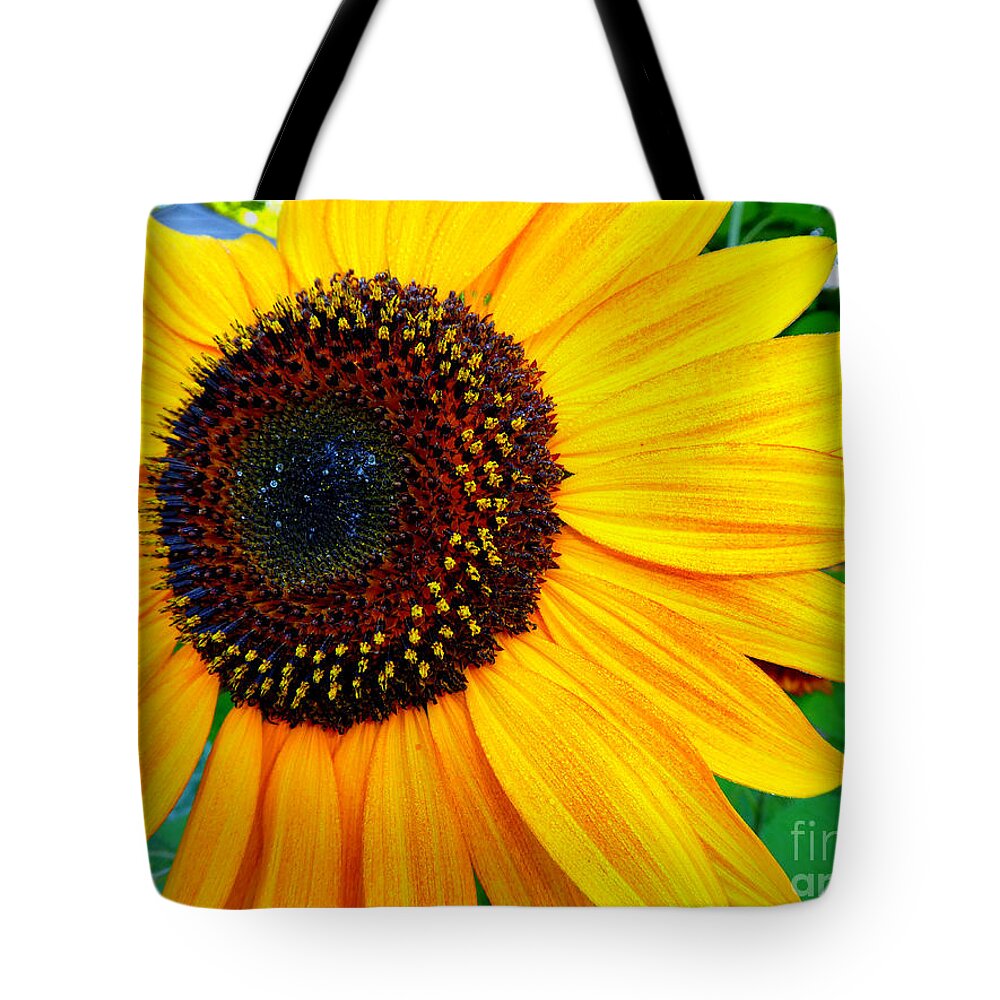 Flower Tote Bag featuring the photograph Happy Sunflower by Tina Mitchell