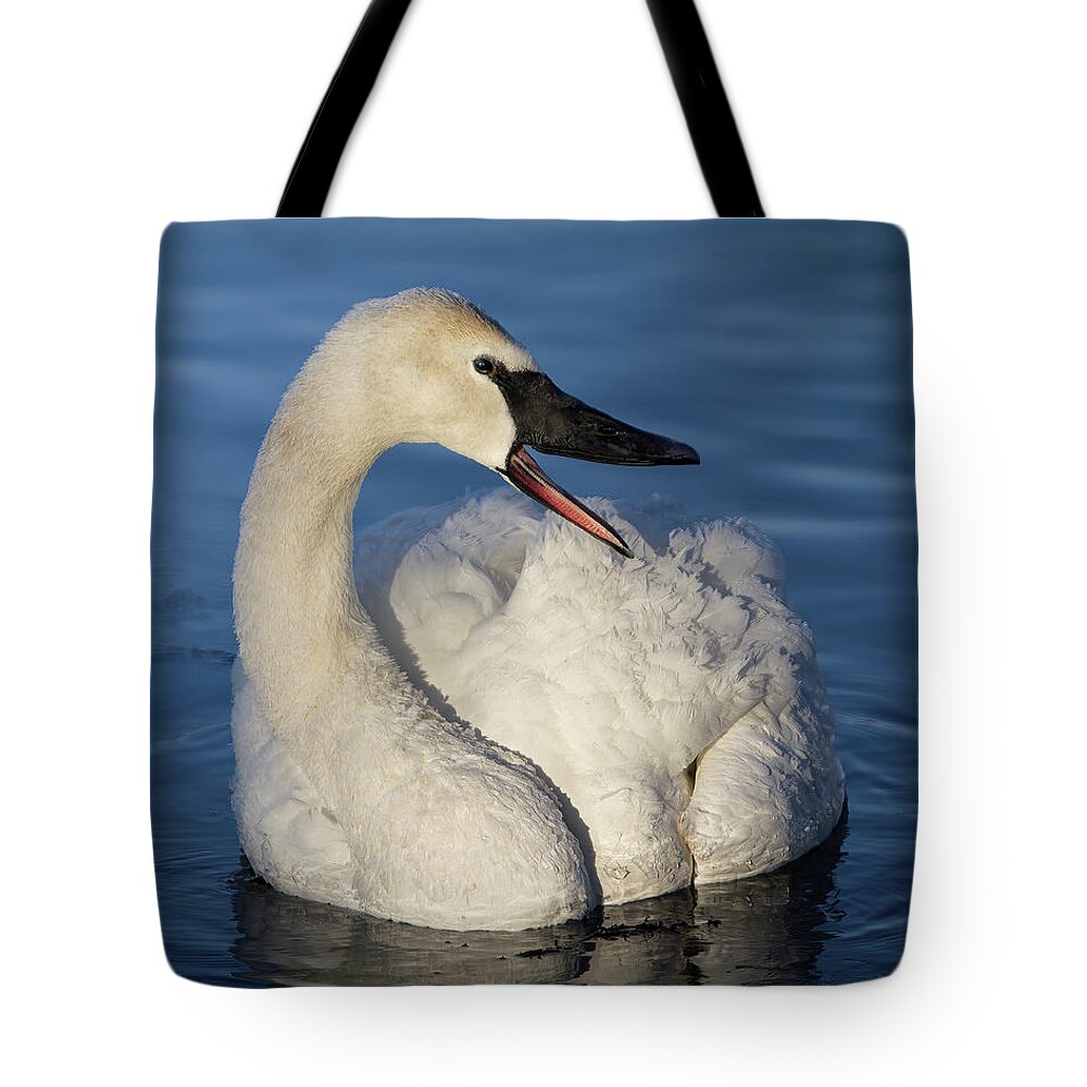 Swan Tote Bag featuring the photograph Happy Swan by Patti Deters