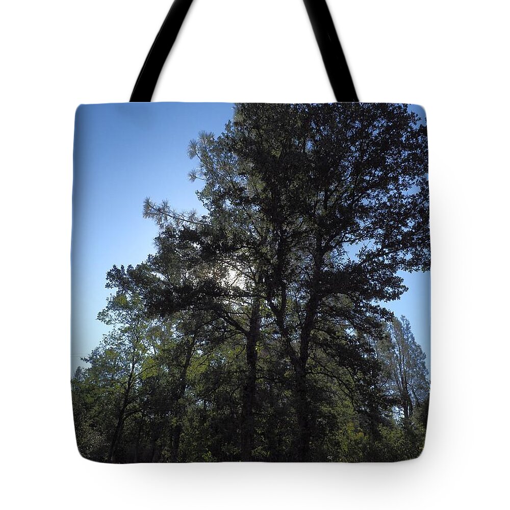 Flowers Tote Bag featuring the photograph Happy Valley Good Morning by Richard Thomas