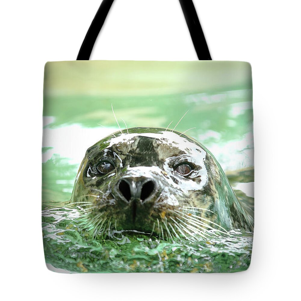 Harbor Seal Tote Bag featuring the photograph Harbor Seal by Lens Art Photography By Larry Trager