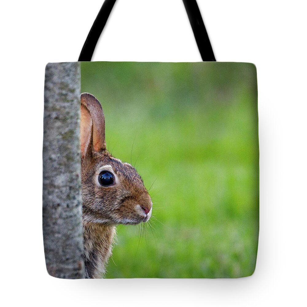 Bunny Tote Bag featuring the photograph Hare by David Beechum
