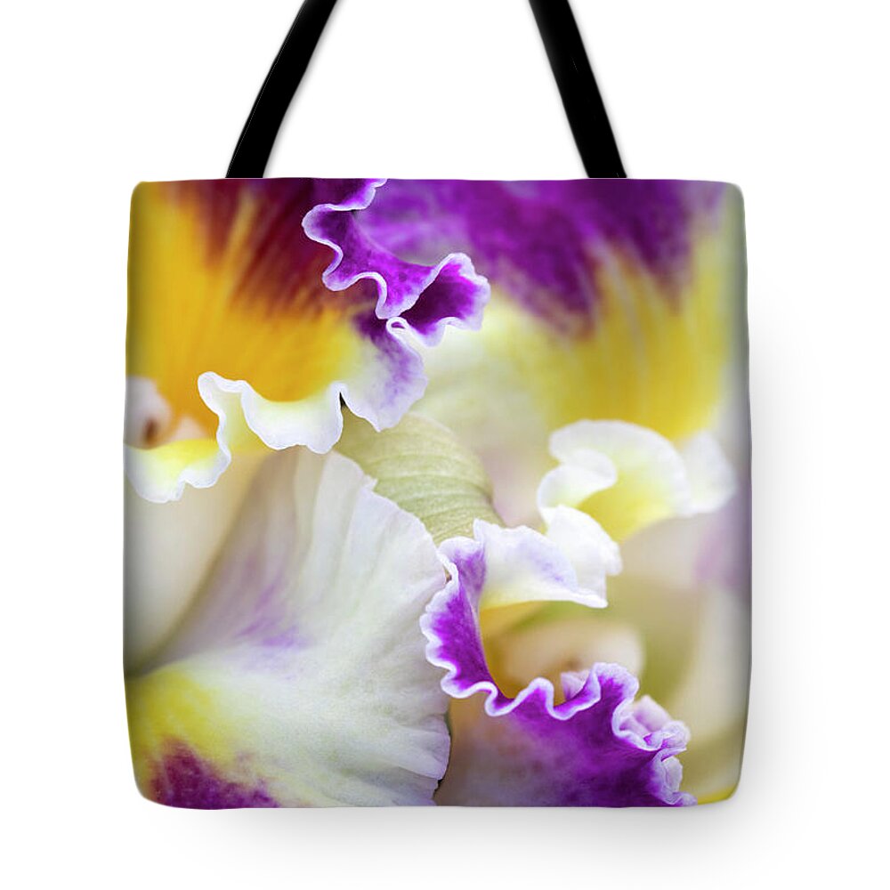 Flower Tote Bag featuring the photograph Harlequin Cattleya Orchid by Patty Colabuono