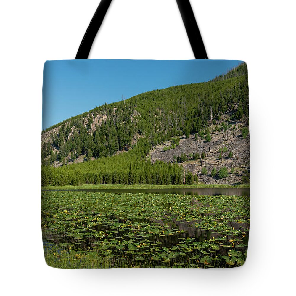 Yellowstone Tote Bag featuring the photograph Harlequin Lake by Tara Krauss