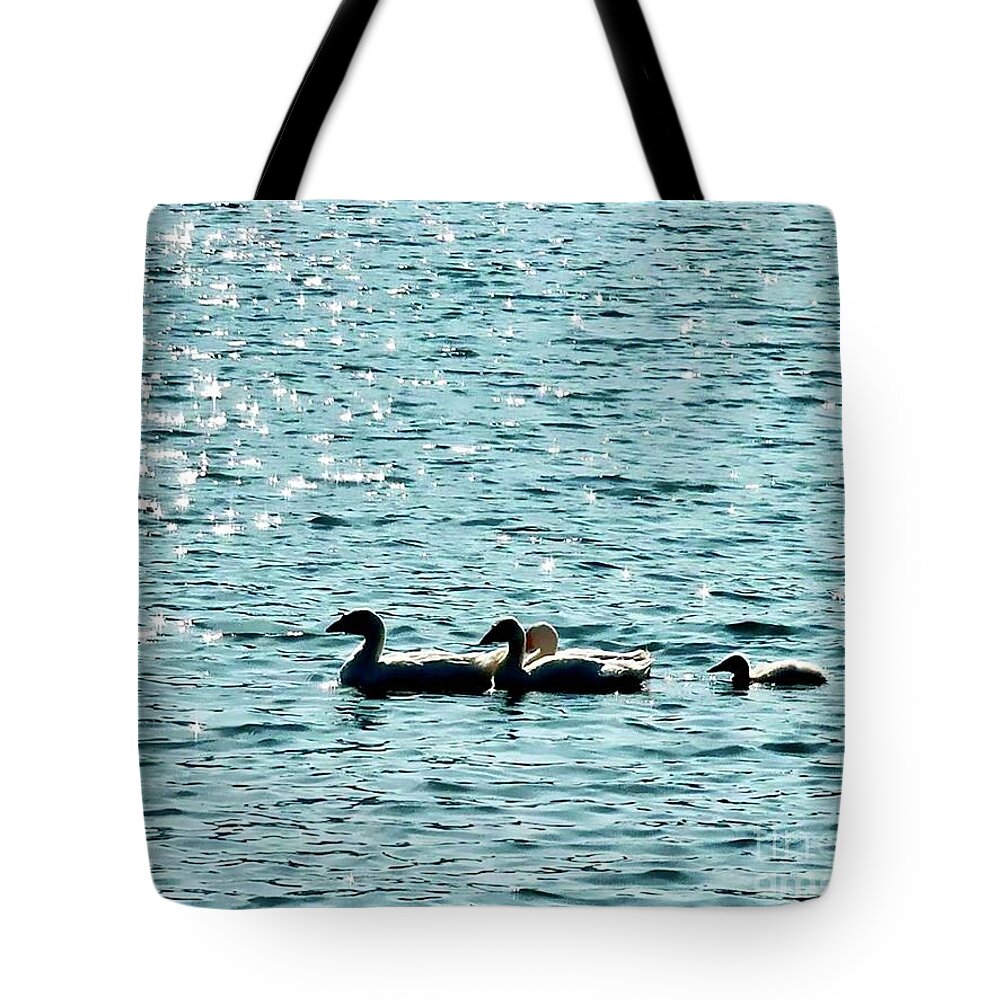 Lake Tote Bag featuring the photograph Harmonious Family by Carmen Lam
