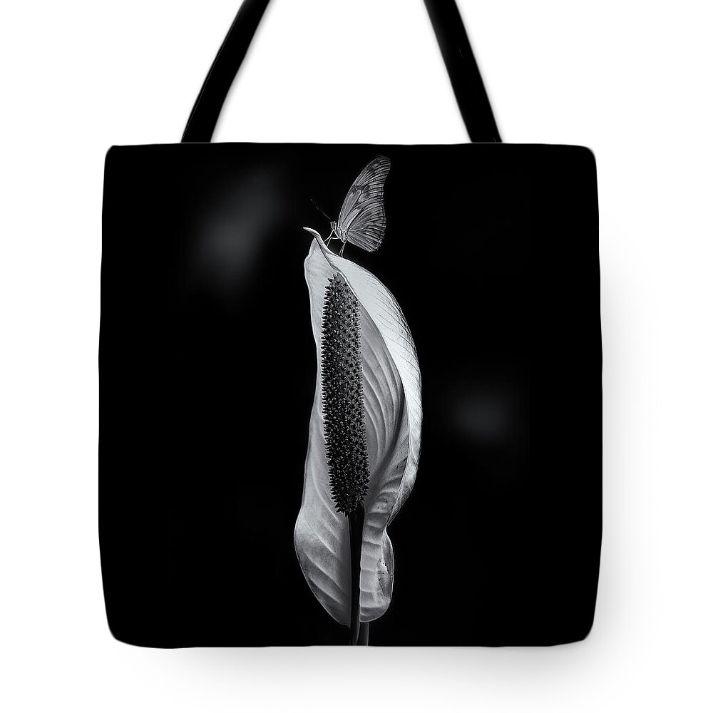 Published Tote Bag featuring the photograph Harmony by Enrique Pelaez