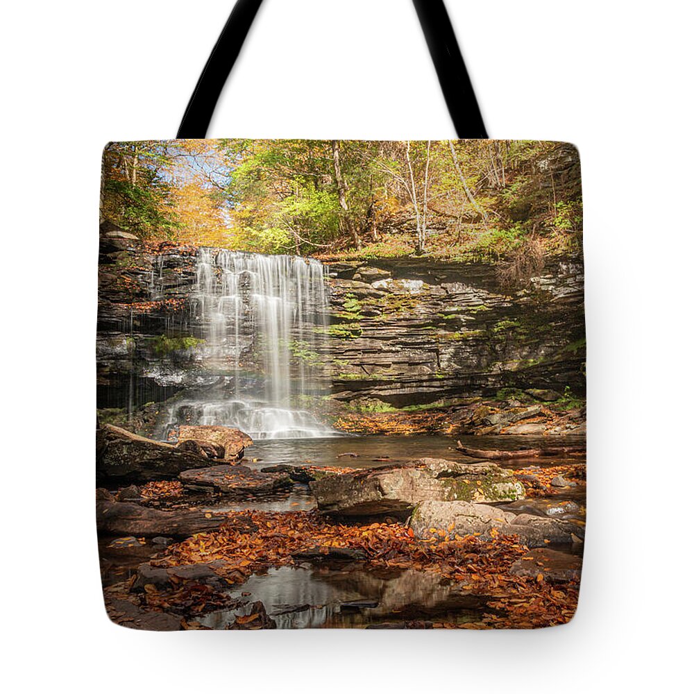 Ricketts Glen Tote Bag featuring the photograph Harrison Wright Falls by Kristia Adams