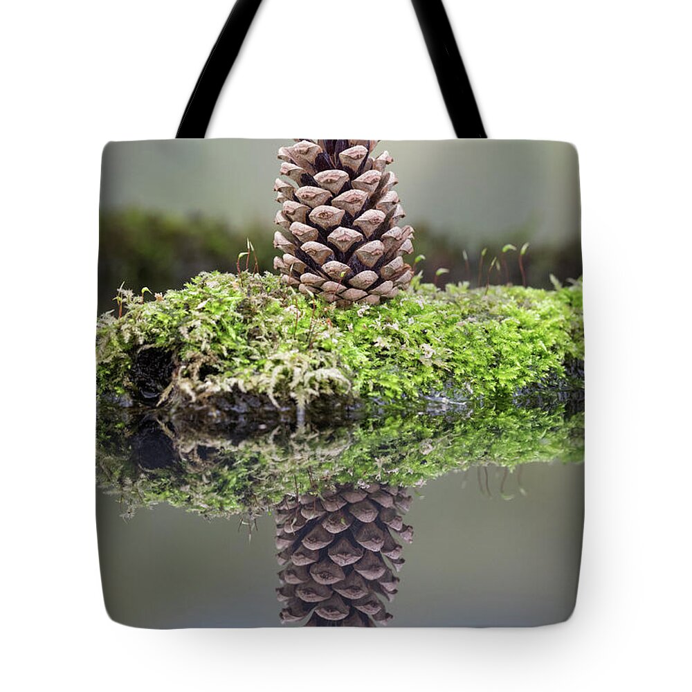 Harvestmouse Tote Bag featuring the photograph Harvest mouse on a pine cone by Erika Valkovicova