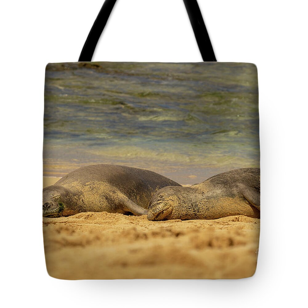 Animal Tote Bag featuring the photograph Hawaiian Monk Seals Napping on the Beach by Nancy Gleason