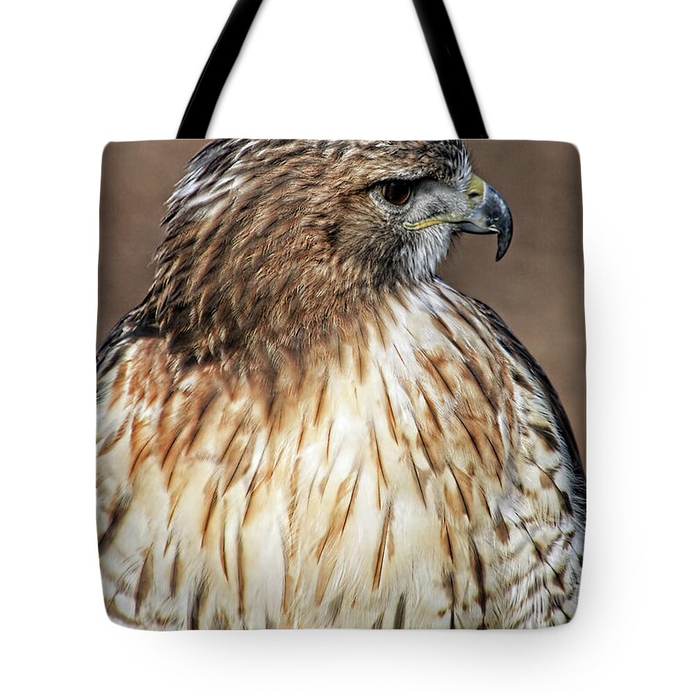 Bird Tote Bag featuring the photograph Hawk by Tom Watkins PVminer pixs