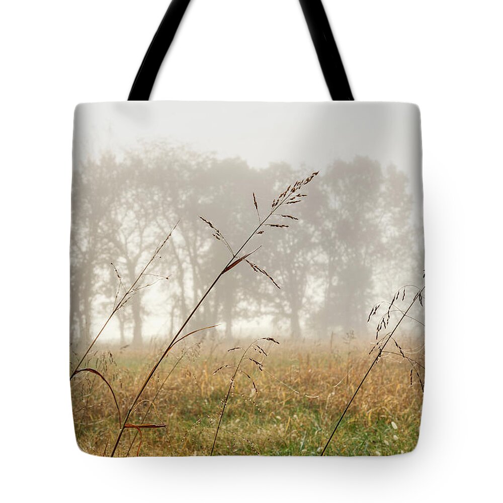 Ozarks Tote Bag featuring the photograph Hay Foggy Kind Of Morning by Jennifer White