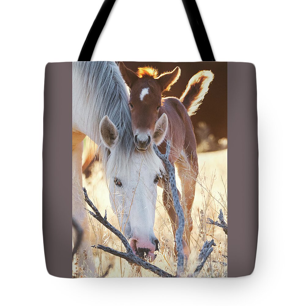 Mom & Baby Tote Bag featuring the photograph Headrest by Shannon Hastings